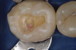 1611dechr P01 1611dechr P01