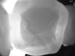 1701demck P02 1701demck P02