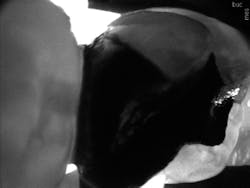 1701demck P06 1701demck P06