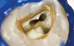 Content Dam De Print Articles Volume 107 Issue 6 1706dekin P01 Content Dam De Print Articles Volume 107 Issue 6 1706dekin P01