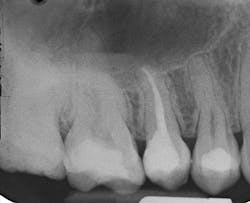 1708defra P06 1708defra P06