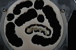 1709defer P06a 1709defer P06a