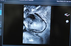 1710debra P03 1710debra P03