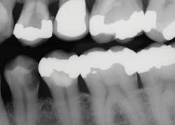 1710dechr P01 1710dechr P01