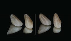 1710decon P05 1710decon P05