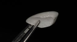 1711denas P06 1711denas P06