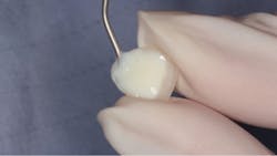 1711denas P09 1711denas P09