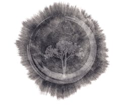 Dreamstime 97400911 Dreamstime 97400911