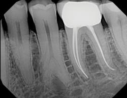 1805demar P02 1805demar P02