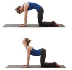 1805destr P01 1805destr P01