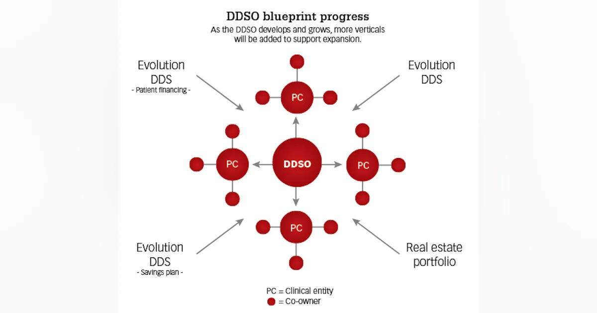 Ddso DDSO blueprint series: Action steps for dentist-owned private group ...
