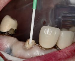 1809debiz P06 1809debiz P06