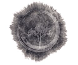 Content Dam De En Articles Print Volume 107 Issue 12 Practice Zen And The Art Of Periodontal Maintenance Principles In Productive Hygiene Leftcolumn Article Thumbnailimage File Content Dam De En Articles Print Volume 107 Issue 12 Practice Zen And The Art Of Periodontal Maintenance Principles In Productive Hygiene Leftcolumn Article Thumbnailimage File