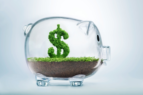 Savings Copy