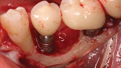 2001 De Cfro Primary 5e174cd4ba554 2001 De Cfro Primary 5e174cd4ba554