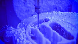 Newman Primary 5e1628e47f722 Newman Primary 5e1628e47f722