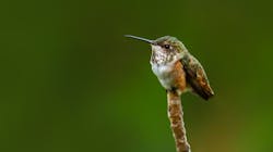 2003 De Cshu P02 5e88040fcf160 2003 De Cshu P02 5e88040fcf160