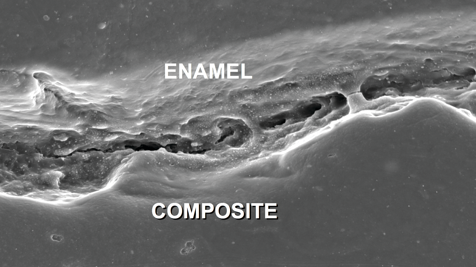 2004 De Cchr P01 5e878eb794772