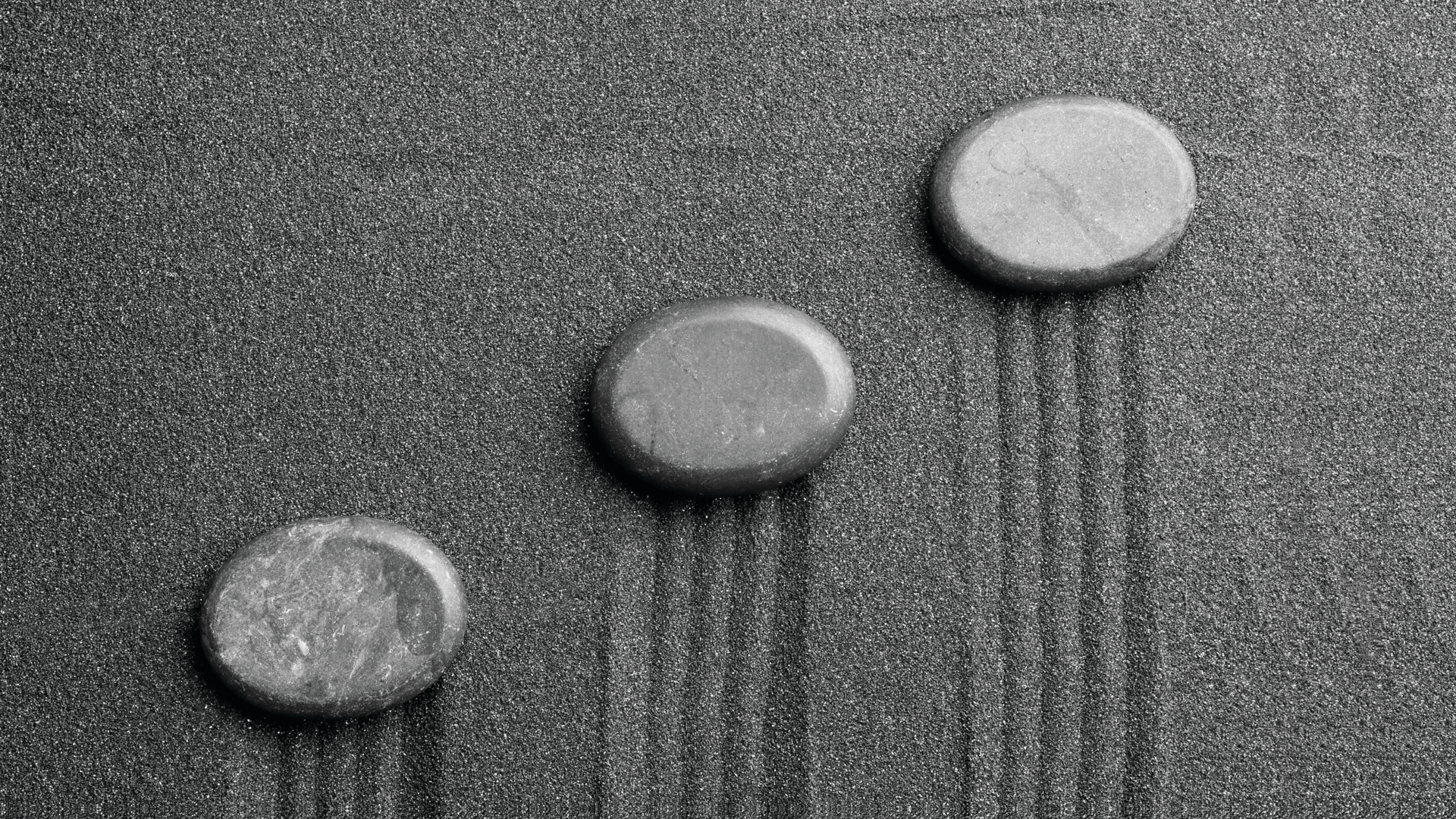 2005 De Csal P01 5eb0676385fd3