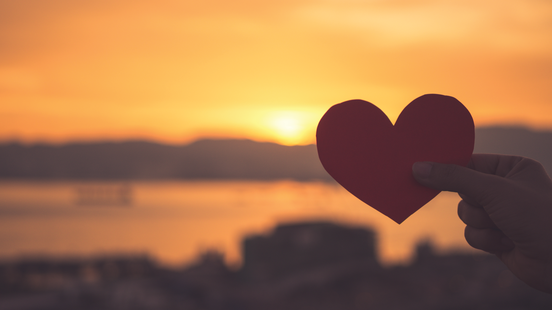 2007 De Cstr P01 5f04789891a70