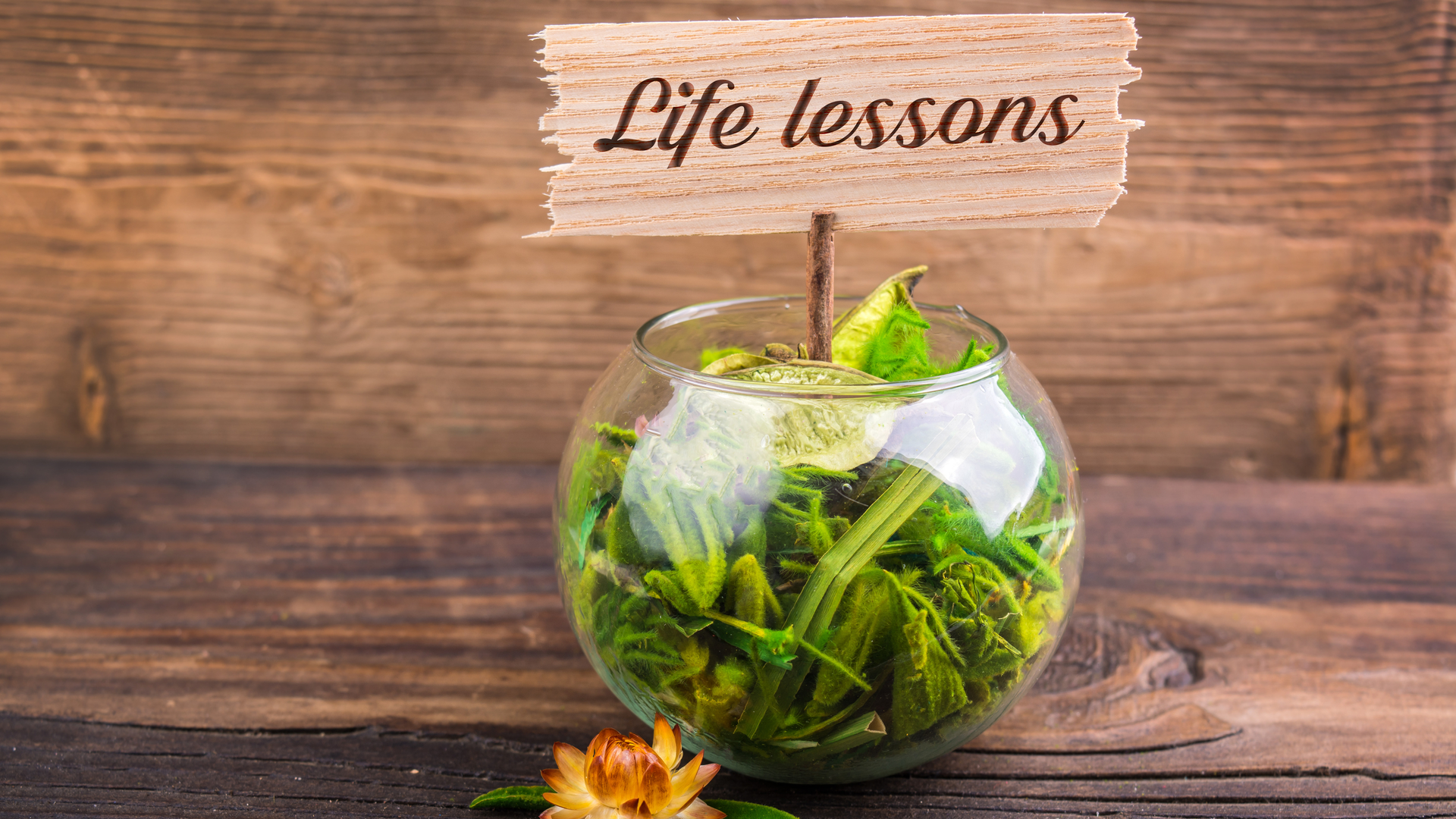 2008 De Cdes P01 5f330cc8184ed