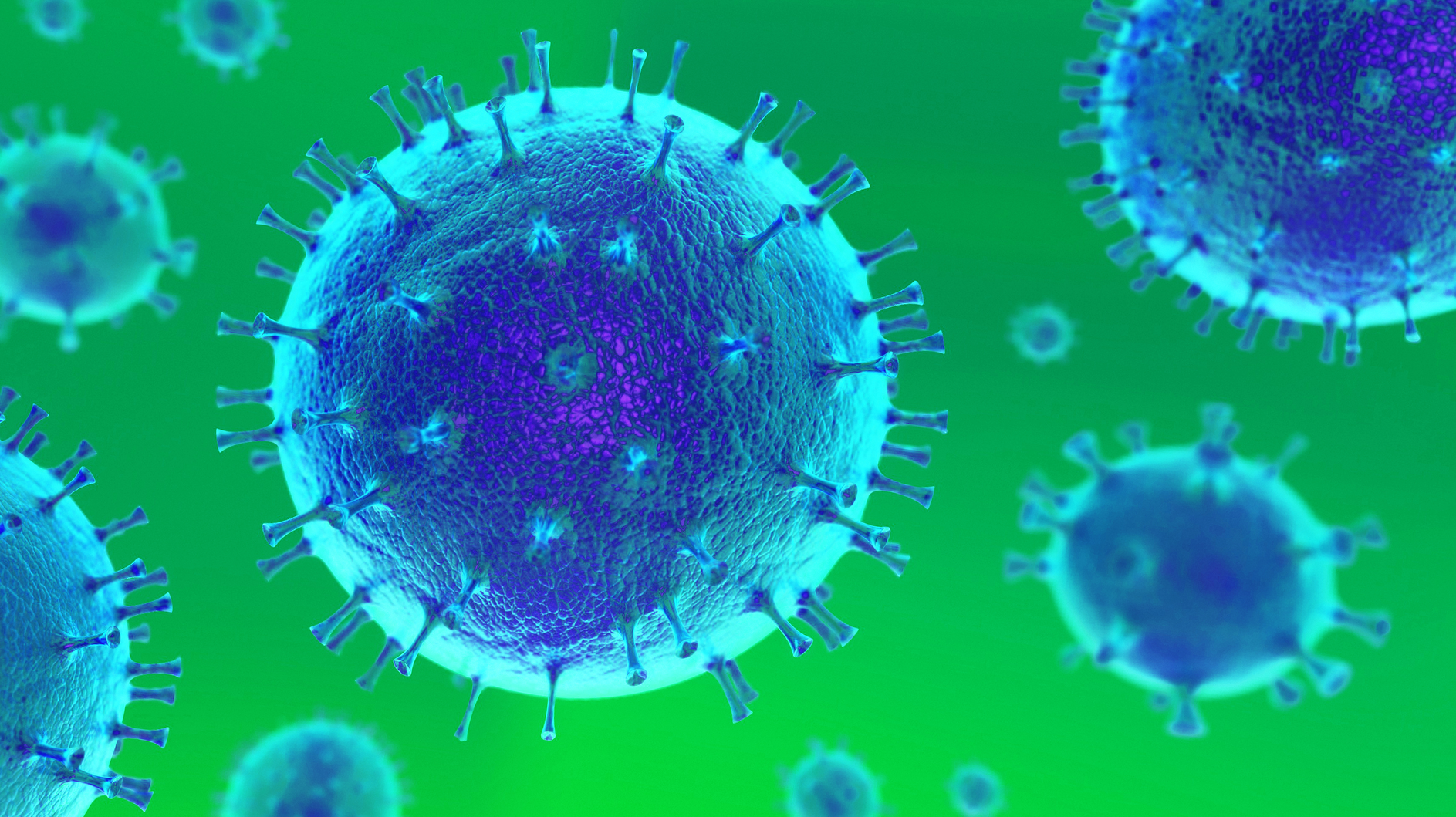 2009 De Ccov P05 5f5fc28e88fb7