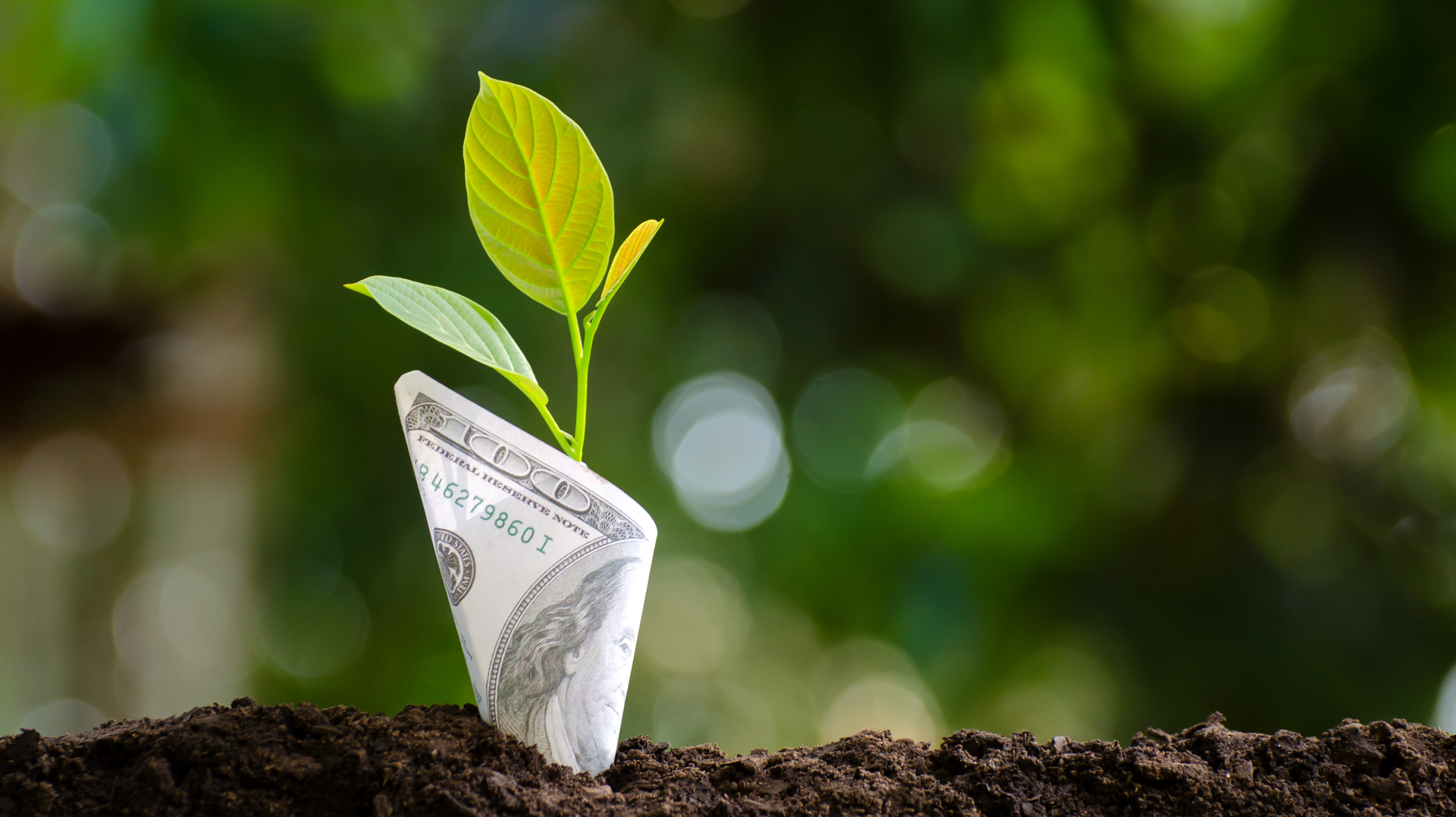 2011 De Ctra P01 5fa999dd8fc86