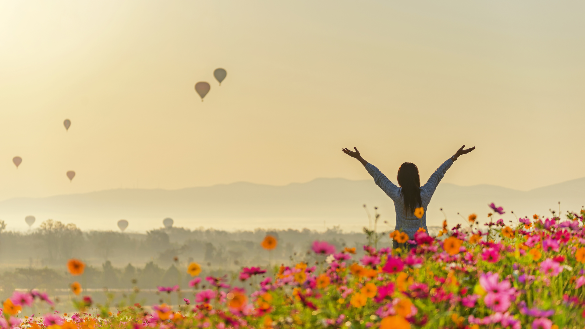 Wanida Prapan Dreamstime Freedom Meadow 5fa1ac0d9770c