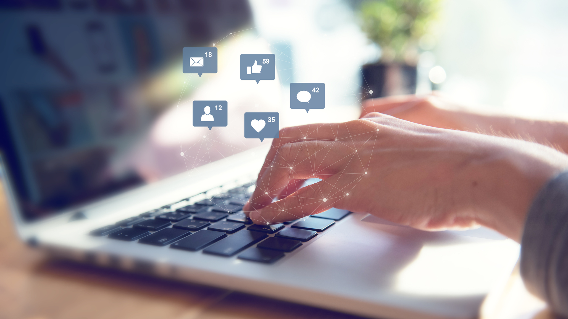 2102 De Csin P02 602bf611487ca