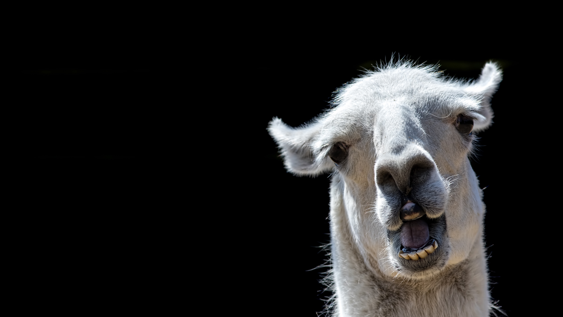 2104 De Cmad P01 6077663222ca9