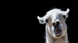 2104 De Cmad P01 6077663222ca9 2104 De Cmad P01 6077663222ca9