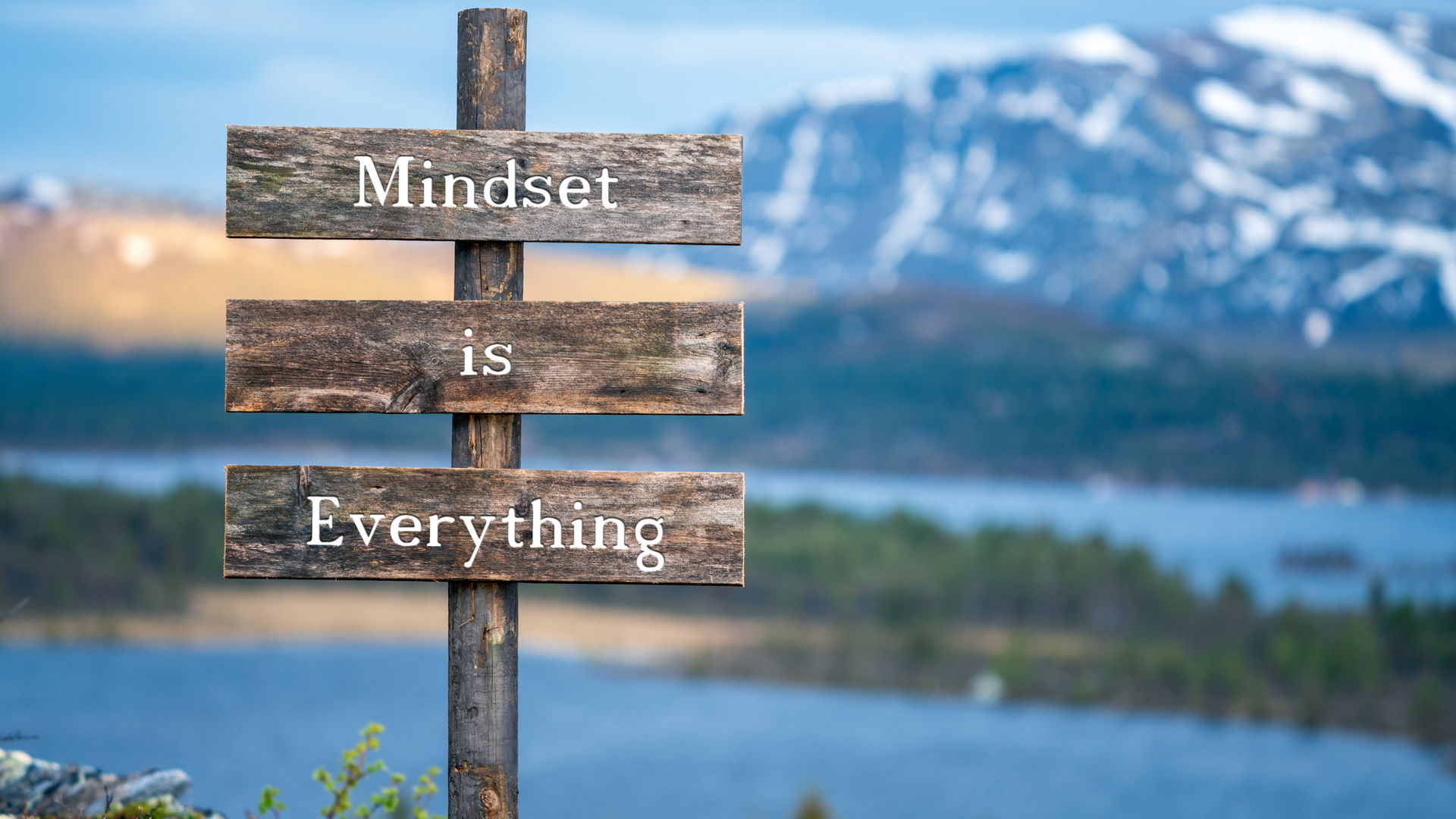 Dreamstime M 192481127 60887599ad8b5