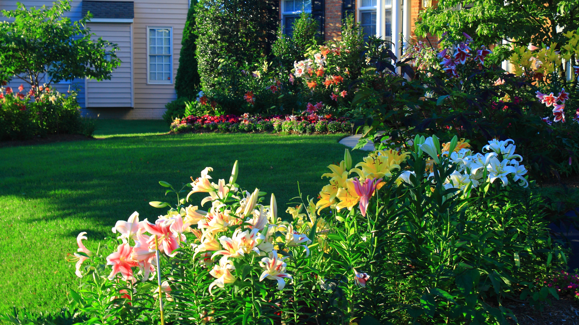 Dreamstime Xxl 42216612 607db3e3b383c