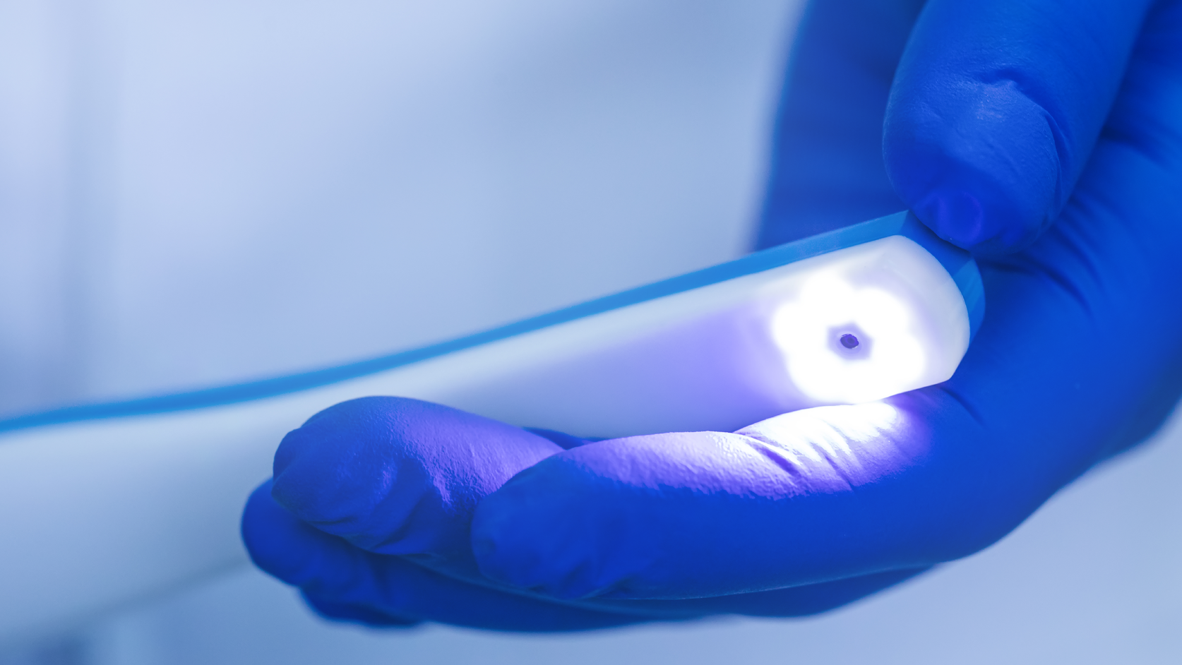 Dreamstime Xxl 156798390 60ad68690d8ec