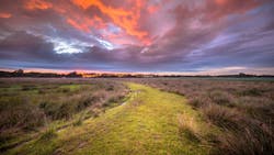 2107 De Chym P01 60be86b14883d 2107 De Chym P01 60be86b14883d