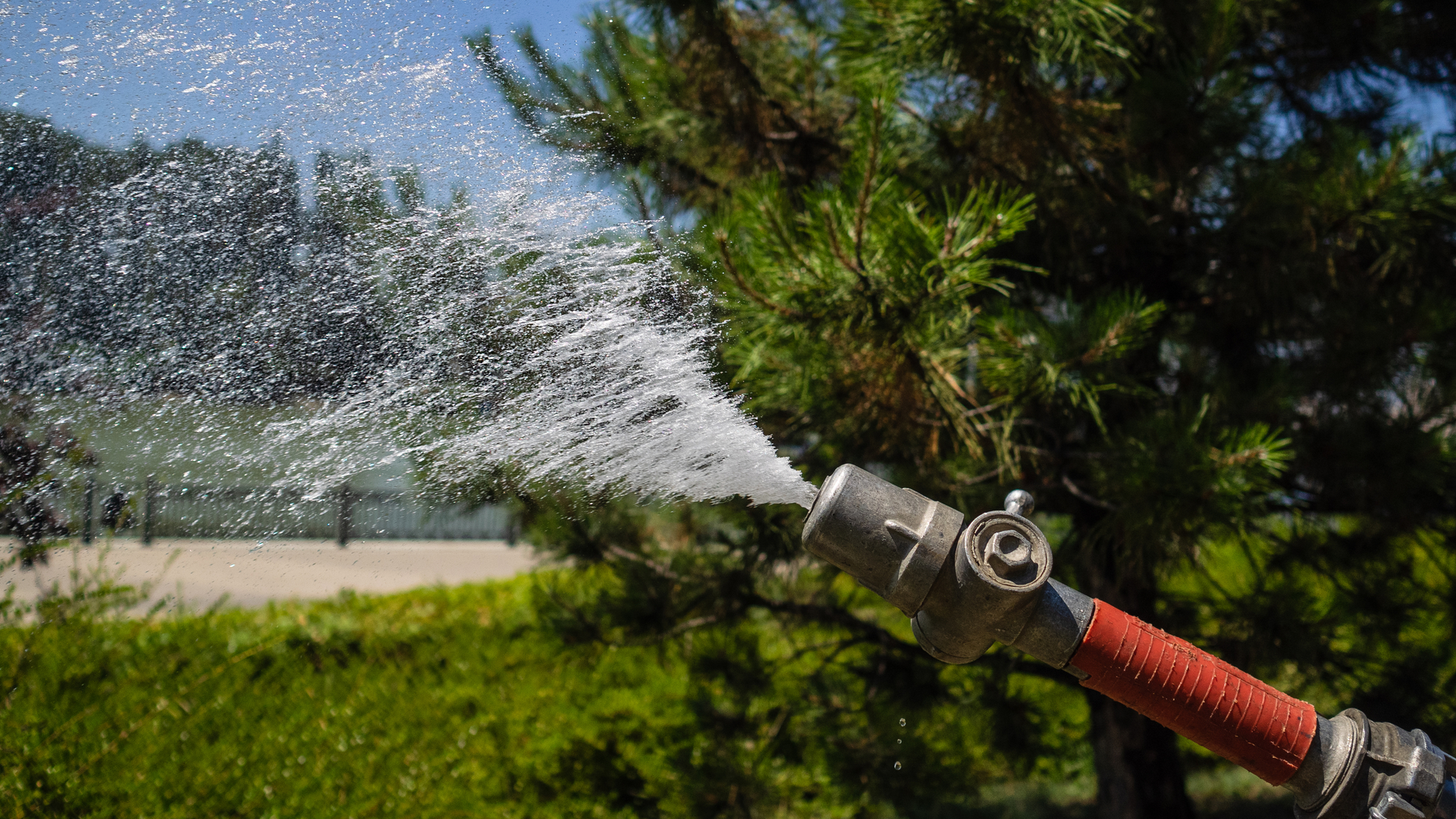 2108 De Cgei P01 60f1eb5c6ba38