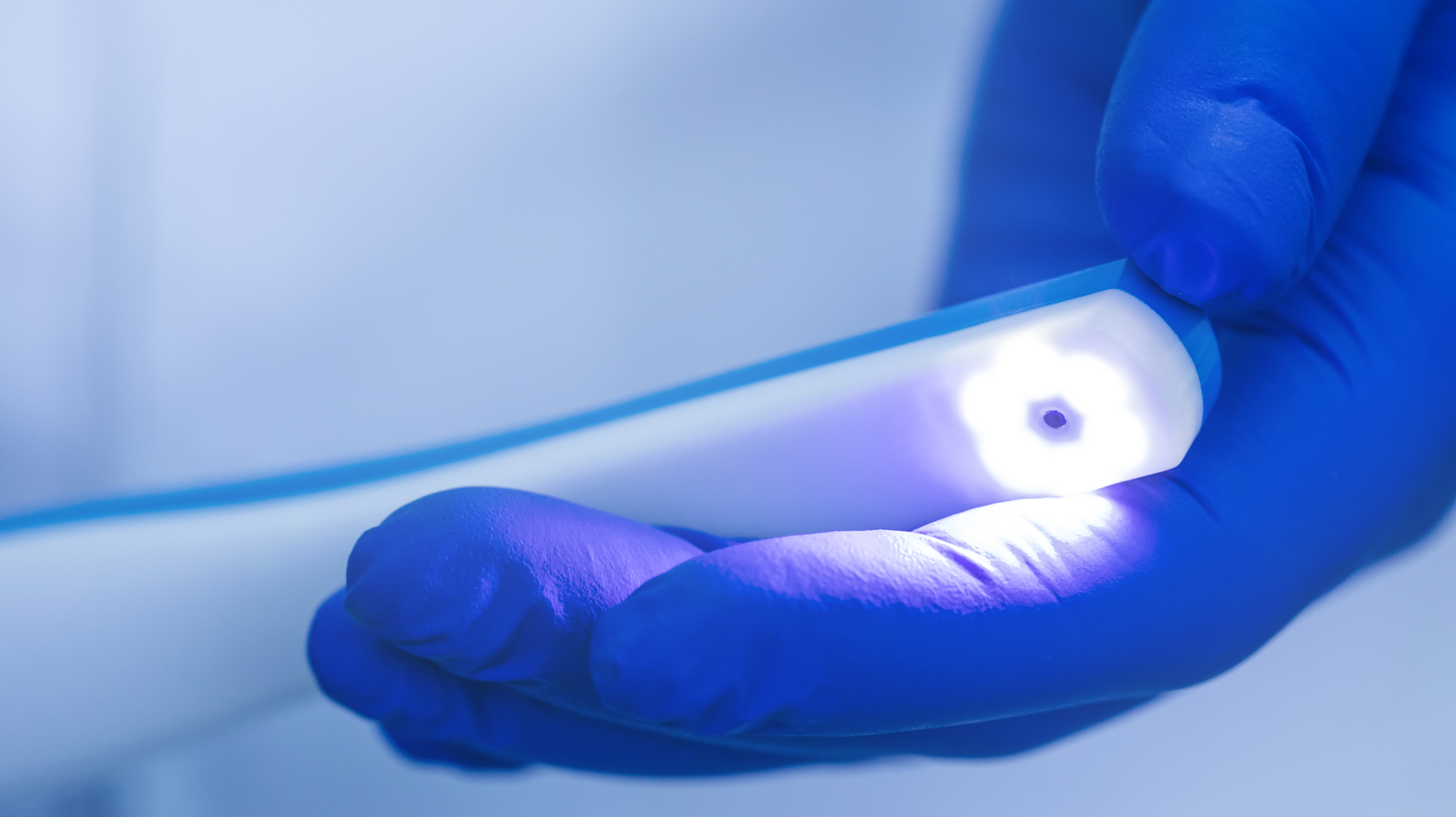 2109 De Clit P01 610984d0ecf8f