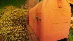 Dreamstime Xxl 6617864 611ac712ce391 Dreamstime Xxl 6617864 611ac712ce391