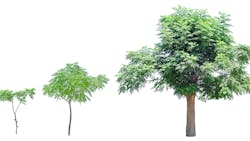 Dreamstime Xxl 75552993 6127ad4e2573f Dreamstime Xxl 75552993 6127ad4e2573f