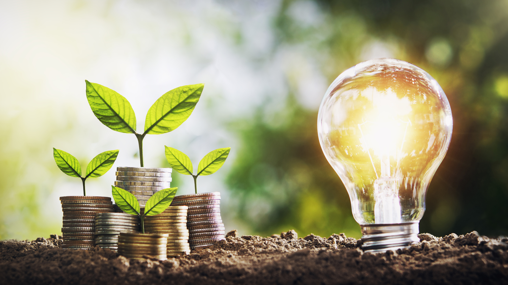 Dreamstime M 140670939