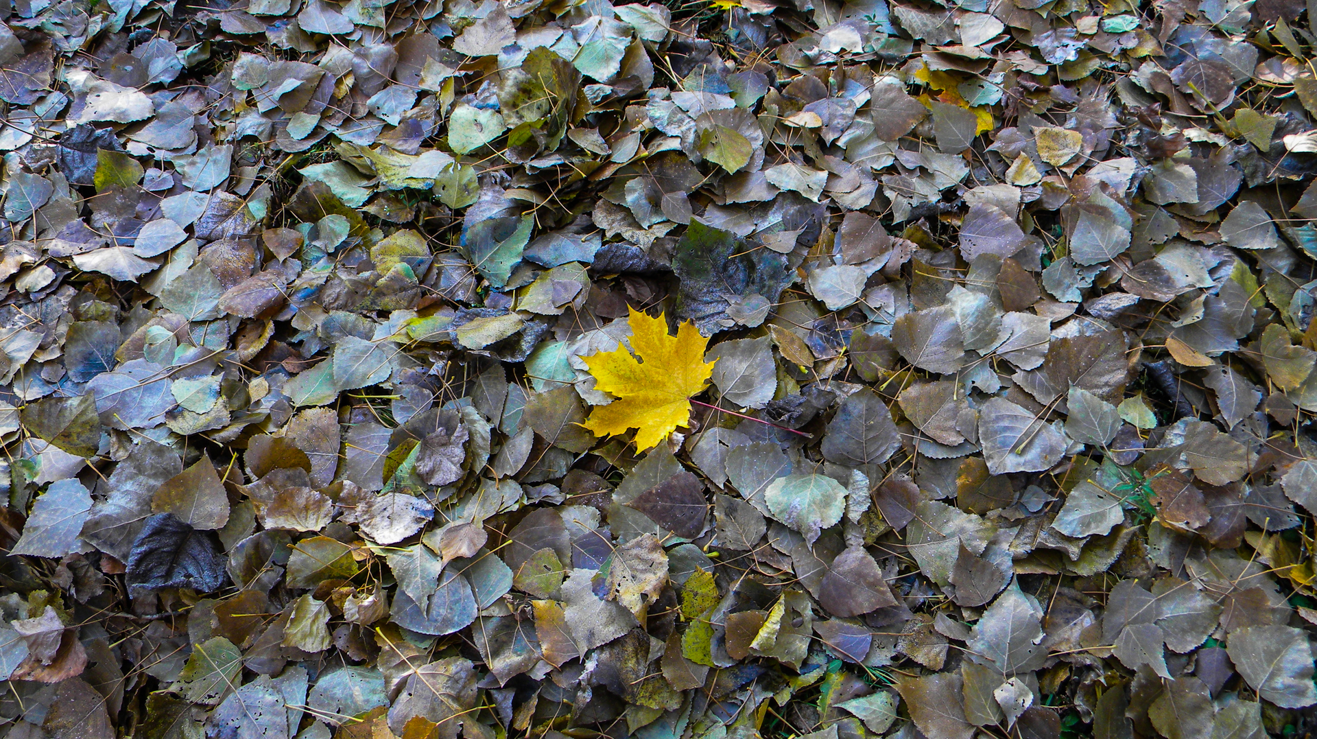 Dreamstime Xxl 45354618 615b69f4d57ca