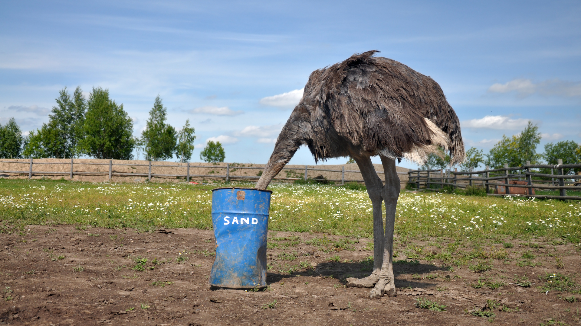 Dreamstime Xxl 59419439 6164b0c951421