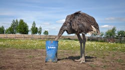 Dreamstime Xxl 59419439 6164b0c951421 Dreamstime Xxl 59419439 6164b0c951421