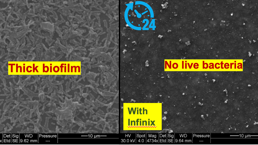 Screen Shot 2021 12 09 At 10 13 00 Am 61b22de8b1790