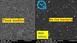 Screen Shot 2021 12 09 At 10 13 00 Am 61b22de8b1790 Screen Shot 2021 12 09 At 10 13 00 Am 61b22de8b1790