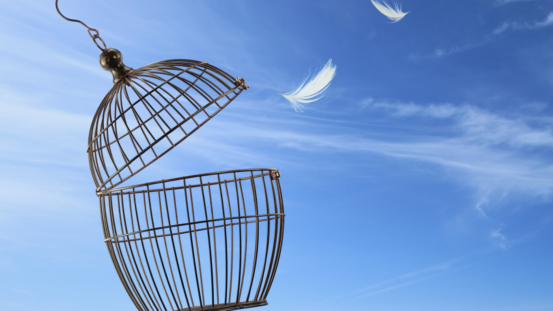 2202 De Cwel P01 61f83e4bb05f9