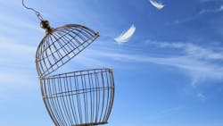 2202 De Cwel P01 61f83e4bb05f9 2202 De Cwel P01 61f83e4bb05f9