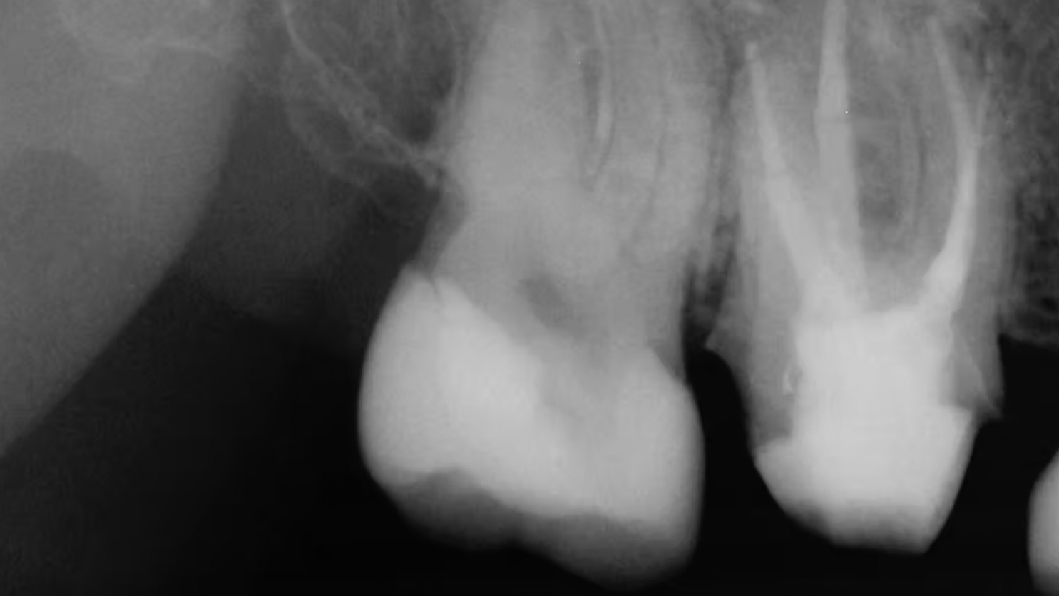 Screen Shot 2022 01 14 At 4 14 51 Pm 61e1e7dc7e5f6