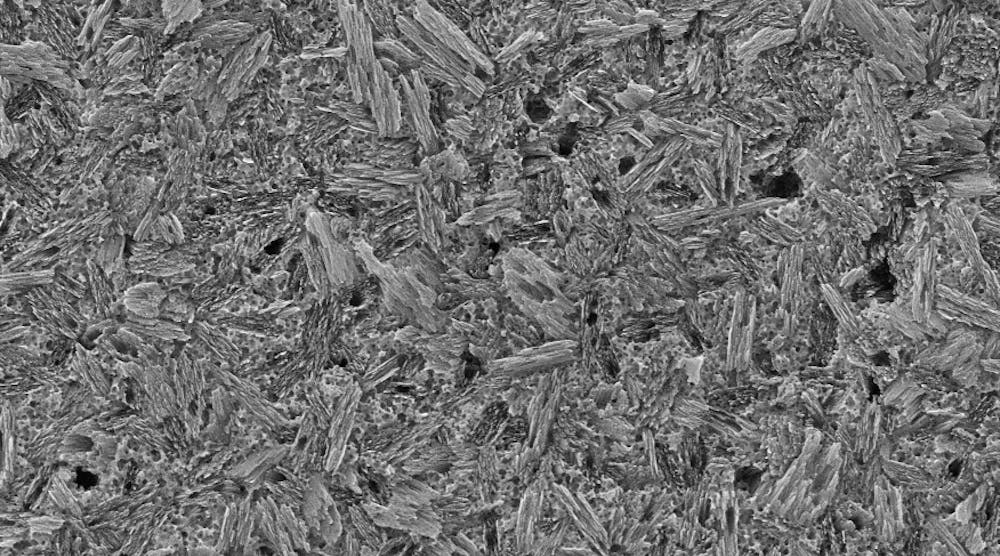 Scanning electron microscope image of lithium disilicate (IPS e.max) that has been polished and etched with hydrofluoric acid for 20 seconds.