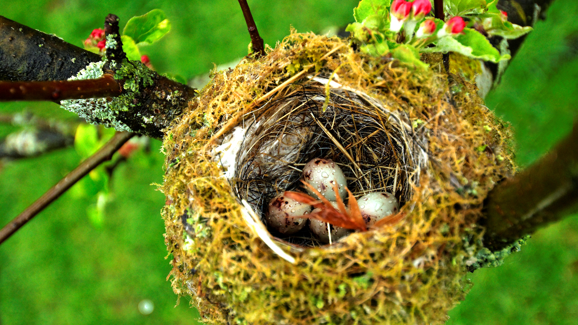 Dreamstime Xxl 19733056 6247100c8b3c3